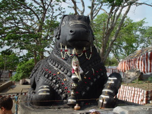 Nandi