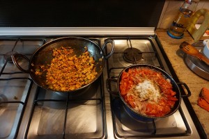 Chicken Mince and Tomato and Onion Chutney